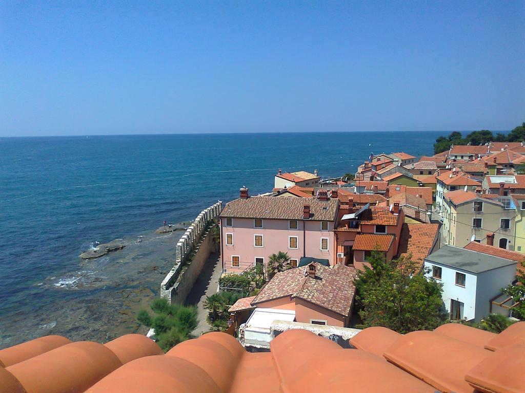 Novigrad Istria Apartments Edo מראה חיצוני תמונה